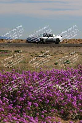 media/Jan-08-2023-SCCA SD (Sun) [[8f6a5b9391]]/Intermediate Group/Session 2 (Short Straight)/